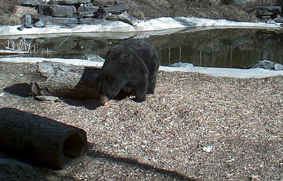 2010-03-29_231352.jpg