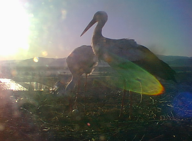 2010-03-30_130522.png