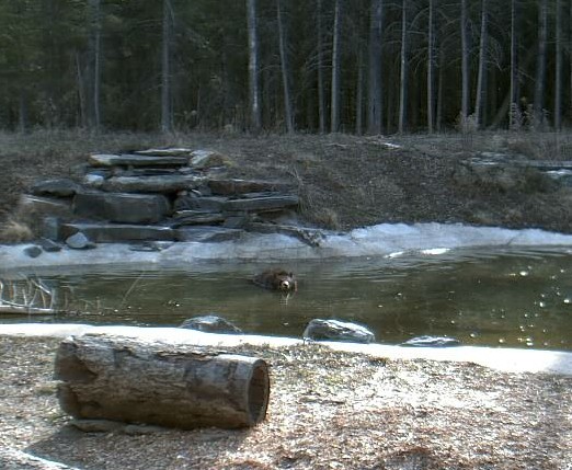2010-03-30_164303.jpg