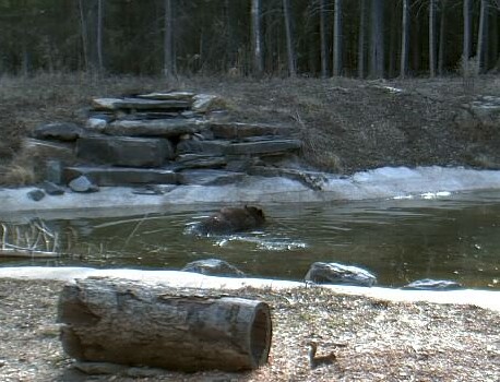 2010-03-30_164346.jpg