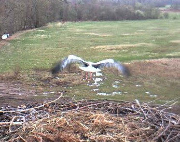 2010-03-31_080036.jpg