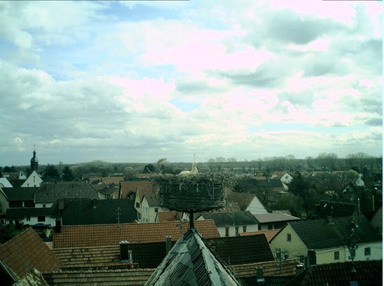 2010-03-31_121714.jpg