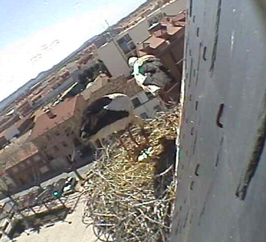 2010-03-31_141541.png