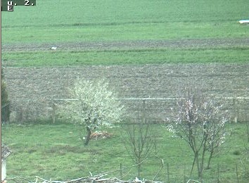 2010-03-31_175010.jpg