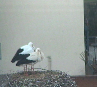 2010-04-01_101850.png