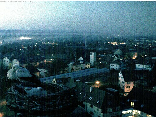 2010-04-02_062613.jpg