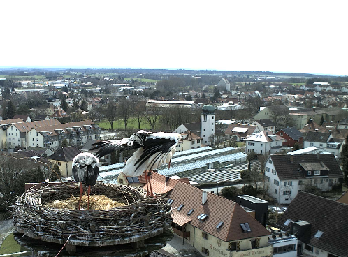 2010-04-02_123223.png