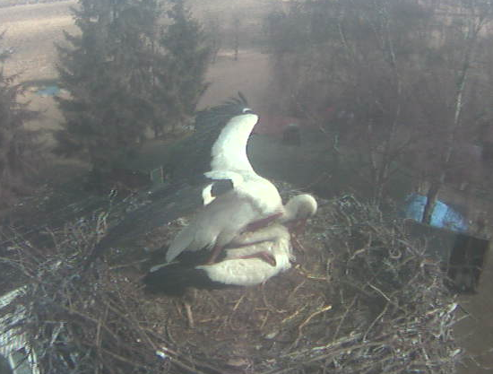 2010-04-02_124446.png
