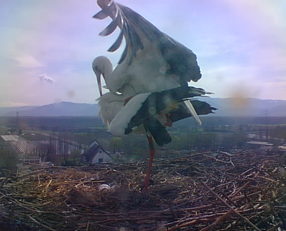 2010-04-02_135921.png