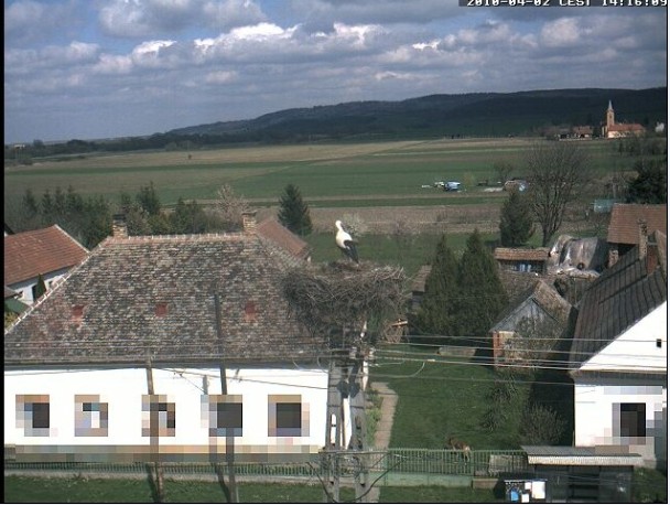2010-04-02_142045.jpg