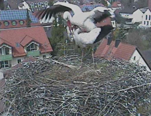 2010-04-02_144716.png