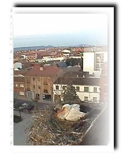 2010-04-02_145510.png