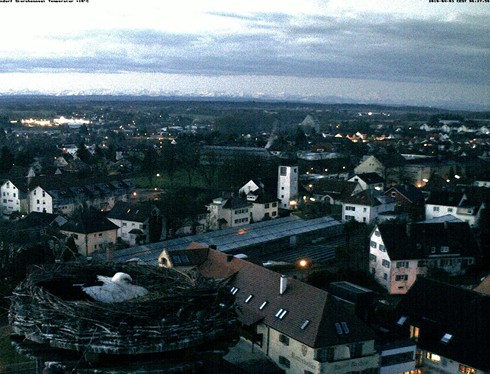 2010-04-03_063443.jpg