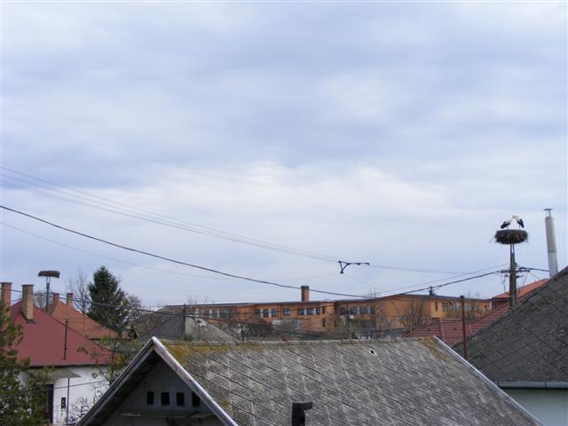 DSCF9153 (Small).JPG