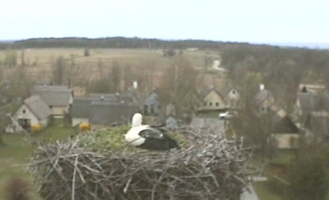 2010-04-04_141233.jpg