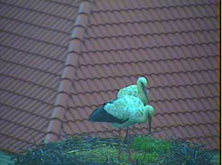 2010-04-05_074908.png