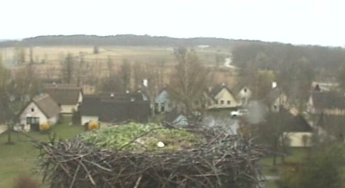 2010-04-05_081959.jpg