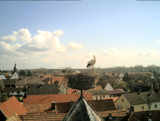 2010-04-05_123149.png