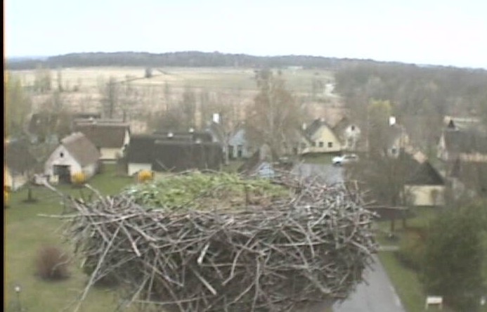 2010-04-05_144009.jpg