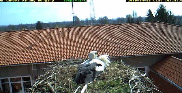 2010-04-06_103006.jpg