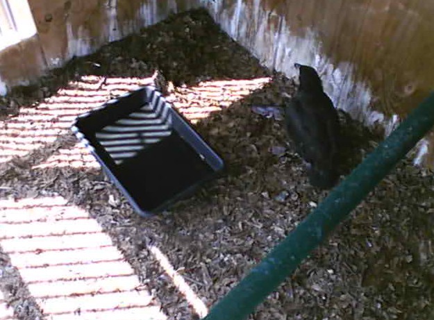 2010-04-06_204930.jpg
