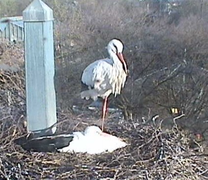 2010-04-07_082400.jpg