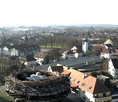 2010-04-07_083717.jpg