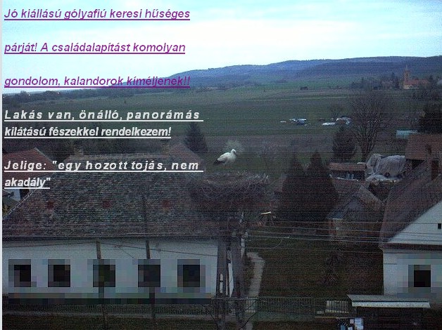 2010-04-07_101944.jpg