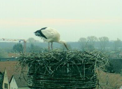 2010-04-08_080851.jpg