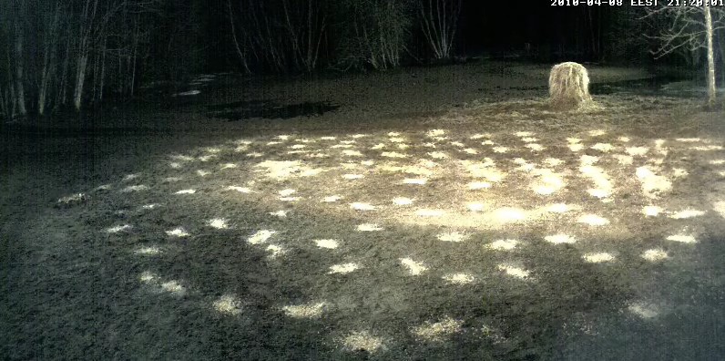 2010-04-08_202409.jpg