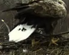 2010-04-09_172503_Sulev.jpg