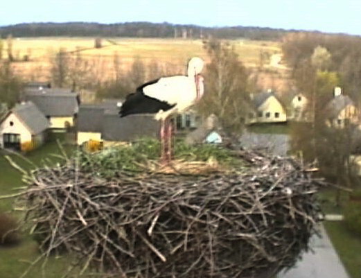 2010-04-10_073121.jpg