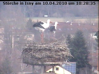 isny1.jpg