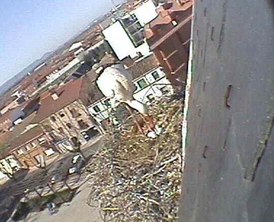 2010-04-10_104420.png