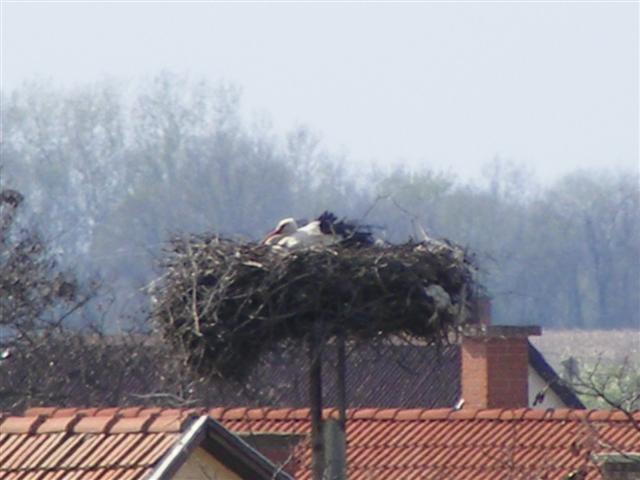 DSCF9206 (Small).JPG