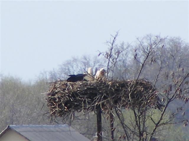 DSCF9207 (Small).JPG