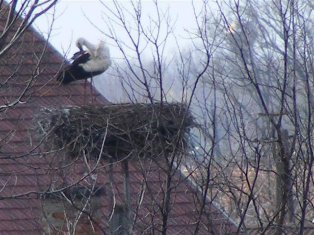 DSCF9209 (Small).JPG