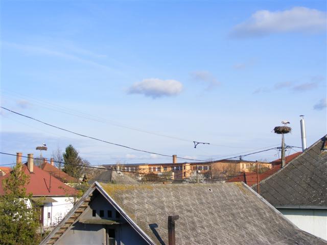 DSCF9192 (Small).JPG
