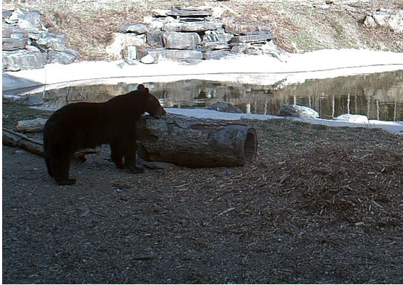 2010-04-11_004747.jpg