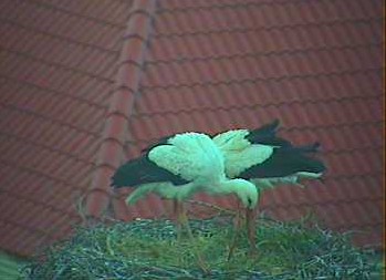 2010-04-11_061248.jpg