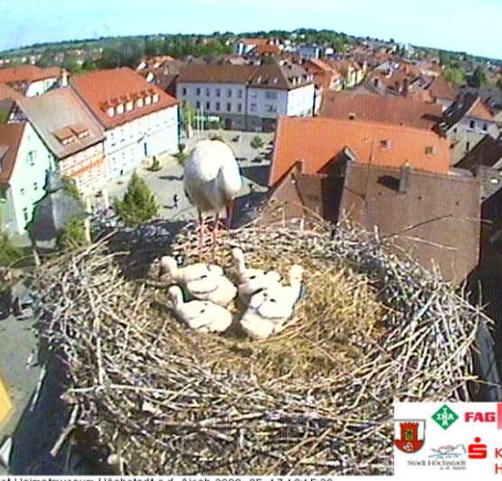 höchstadt2.jpg