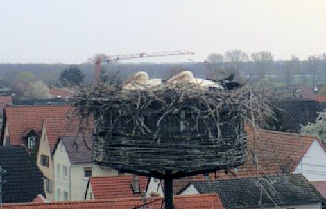 2010-04-12_070040.jpg