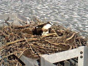 2010-04-12_100221.jpg