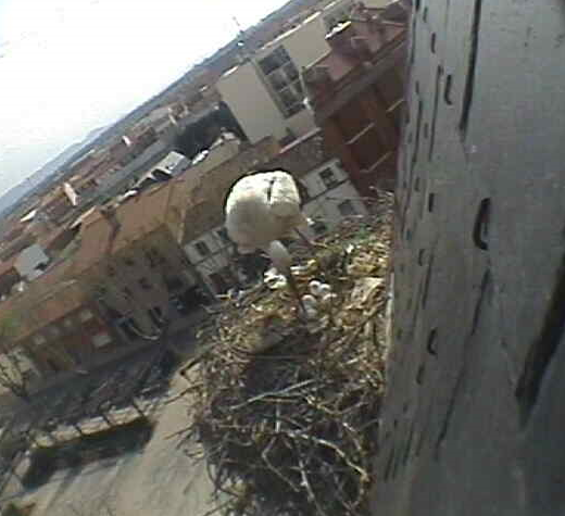 2010-04-12_172704.png