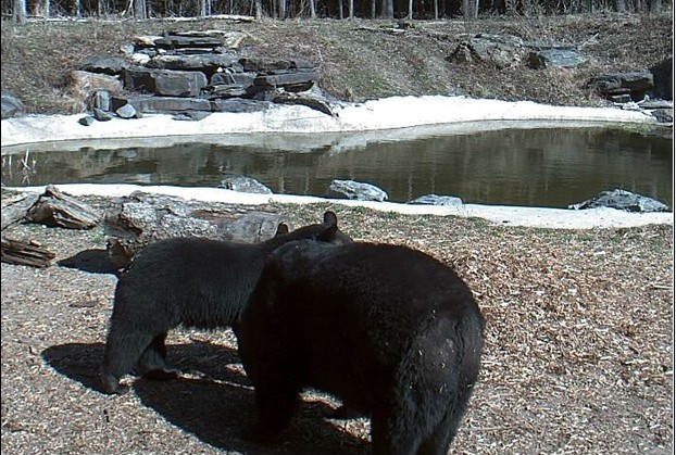 2010-04-12_212125.jpg