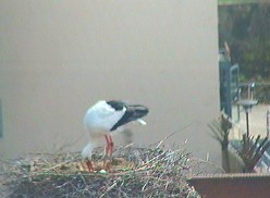 2010-04-13_145716.jpg