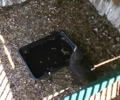 2010-04-13_180541.jpg