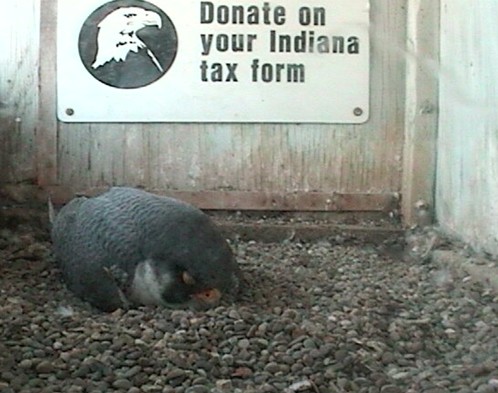 2010-04-14_003852.jpg