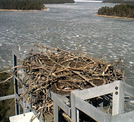 2010-04-14_105824.jpg