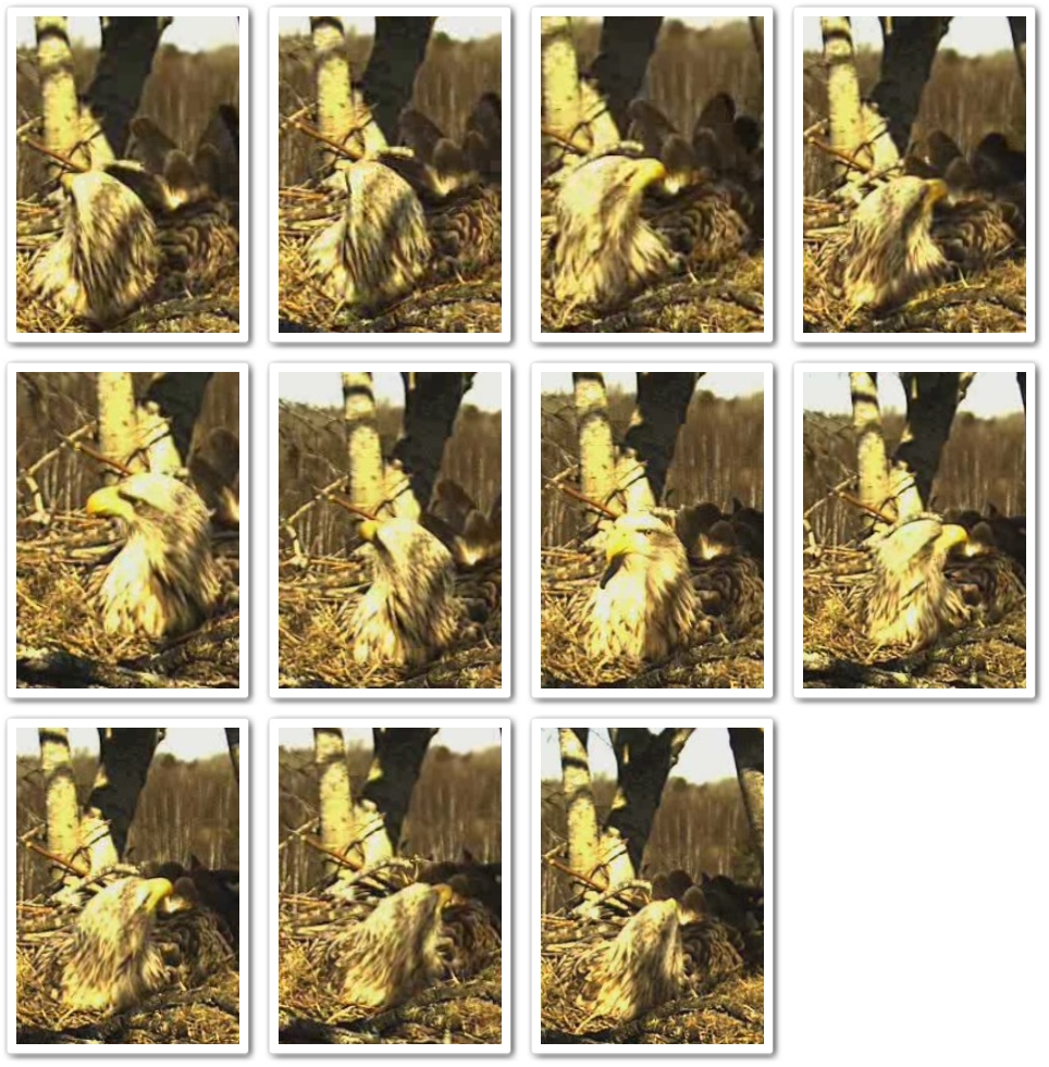 2010-04-14_120258-tile.jpg